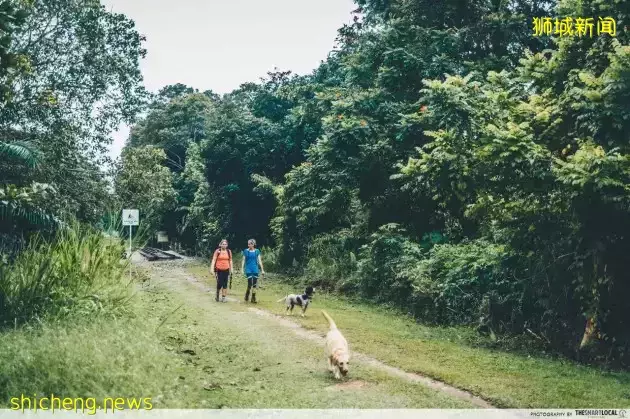 帶娃逛遍新加坡的森林和水庫，9條適合兒童徒步的路線