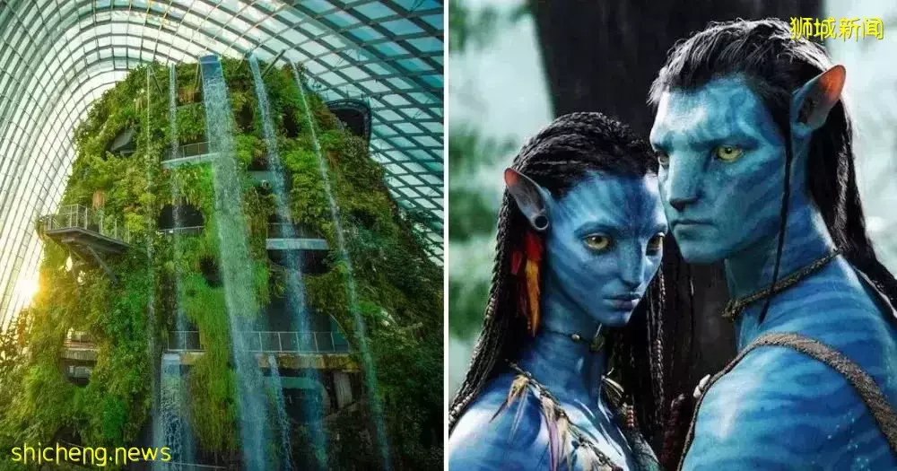 【周末去哪】$158新航往返机票!LV免费展、鸟园露营、$15高尔夫