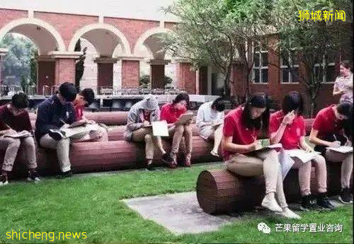 新加坡国际学校课程体系介绍