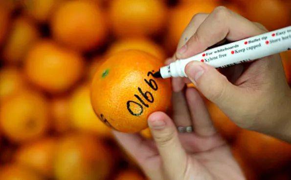 元宵節快到了，各國的元宵節習俗你都知道嗎