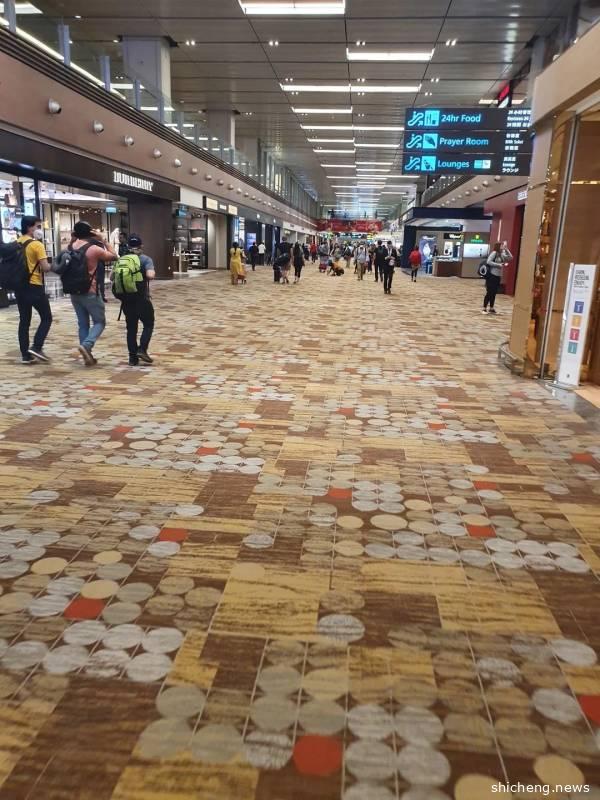 机场航站楼，移民局，婚姻登记处等相继关闭，“封城”后这些实用信息你要知道