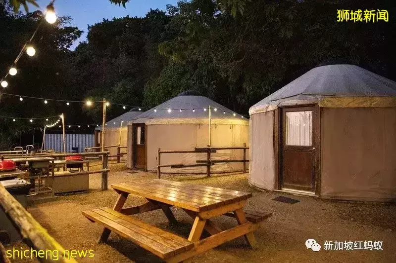 中港掀起豪華露營風　一晚850新元可能還訂不到