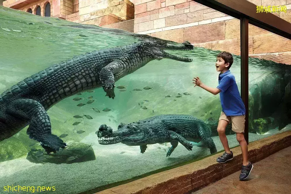 六一去哪儿玩,盘点新加坡亲子游景点攻略