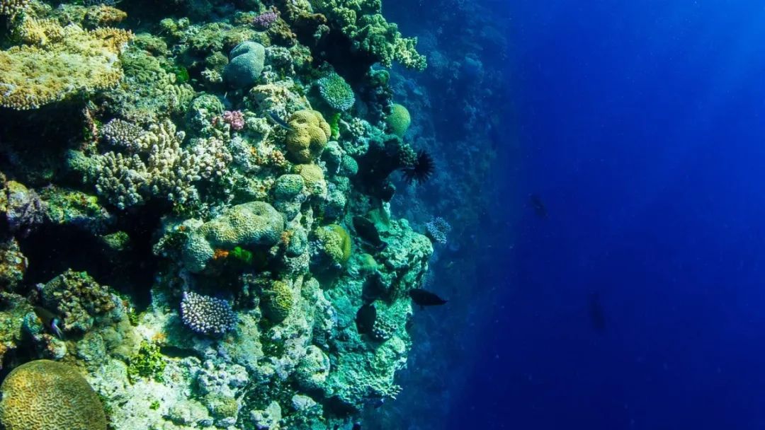 新加坡中学生通过回收塑料活动提升环保意识，盘点新加坡此前采取的塑料环保措施