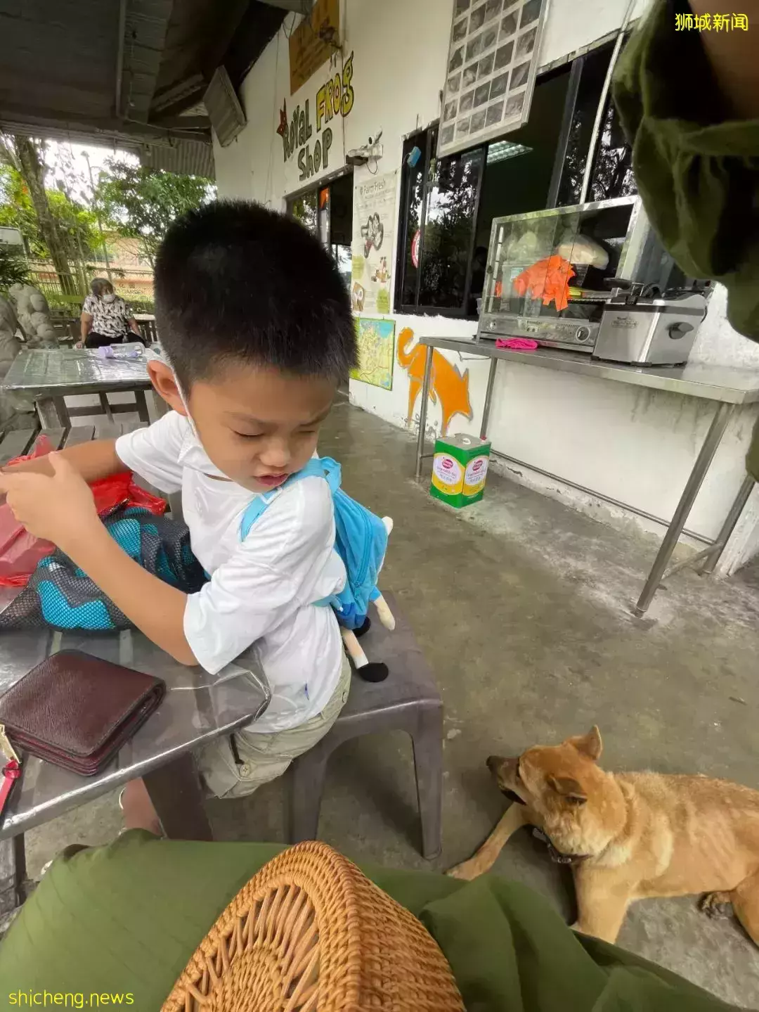 下水抓蛙、摘菜摸鱼、开土摩托……我带娃体验了一把新加坡的农家乐