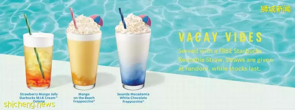 这次不出新品饮料,Starbucks抱枕已上架!抱在怀里超舒服~只限网络购买!🤩