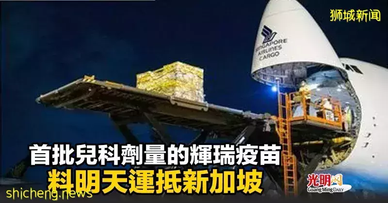 首批儿科剂量的辉瑞疫苗 料明天运抵新加坡