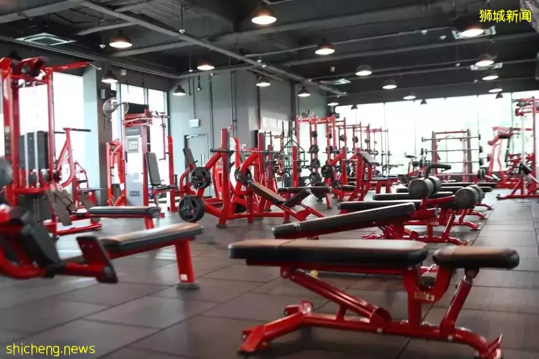 那些新加坡不睡覺的夜貓子，都在幹什麽