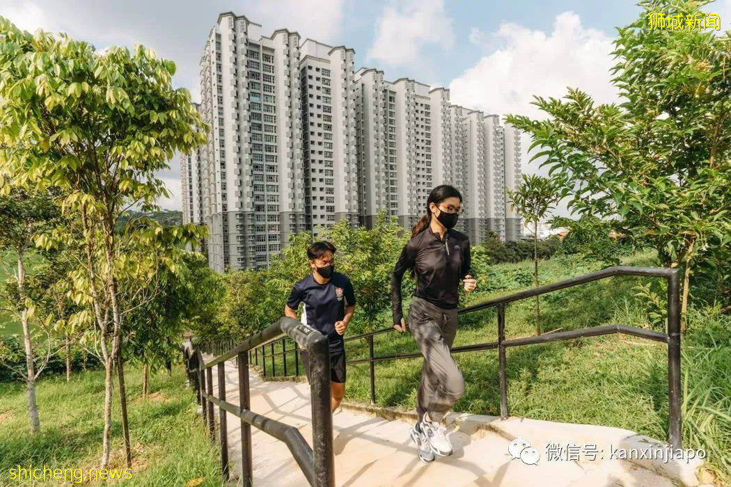 登高遠眺，解鎖新加坡新地標山丘步道、蝴蝶園和遛狗場