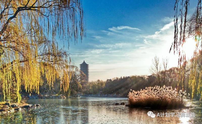 THE2021世界大學學科排名：藝術和人文