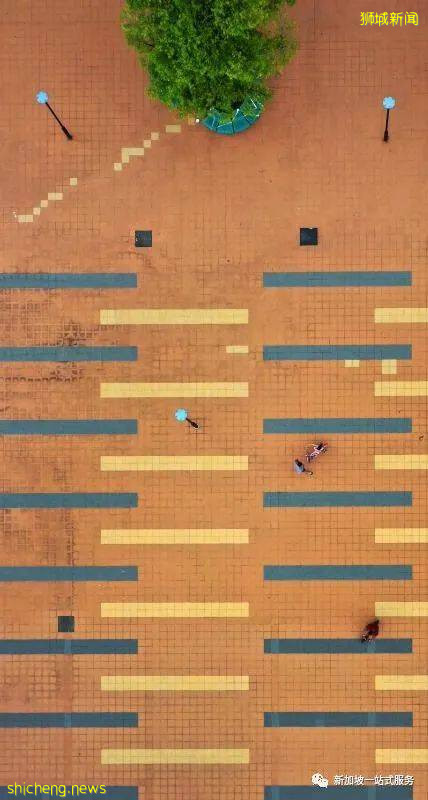 生命是脆弱的。 不要以爲事情是理所當然的!