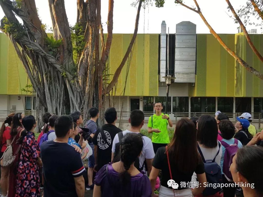 新加坡理工学院徒步有感