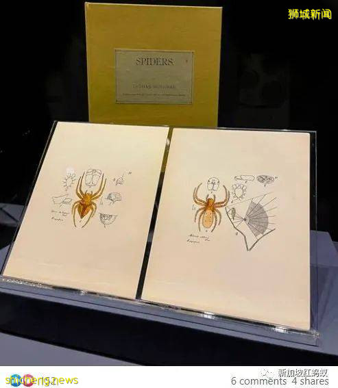 他是外交家也是昆蟲專家 新加坡的“蜘蛛俠”獲頒環境最高獎