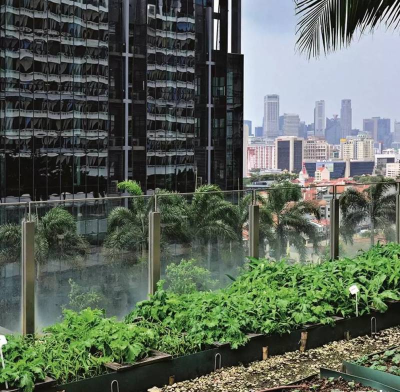 新加坡綠色城市發展