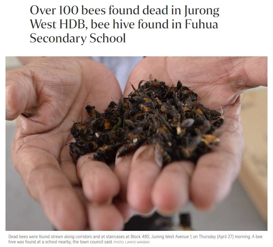 多图慎入...新加坡惊现超大蜜蜂群,漫天乱飞密密麻麻