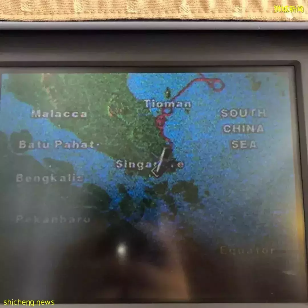 耗时6个月,隔离30天,我的宝贝终于来新加坡跟我团聚了