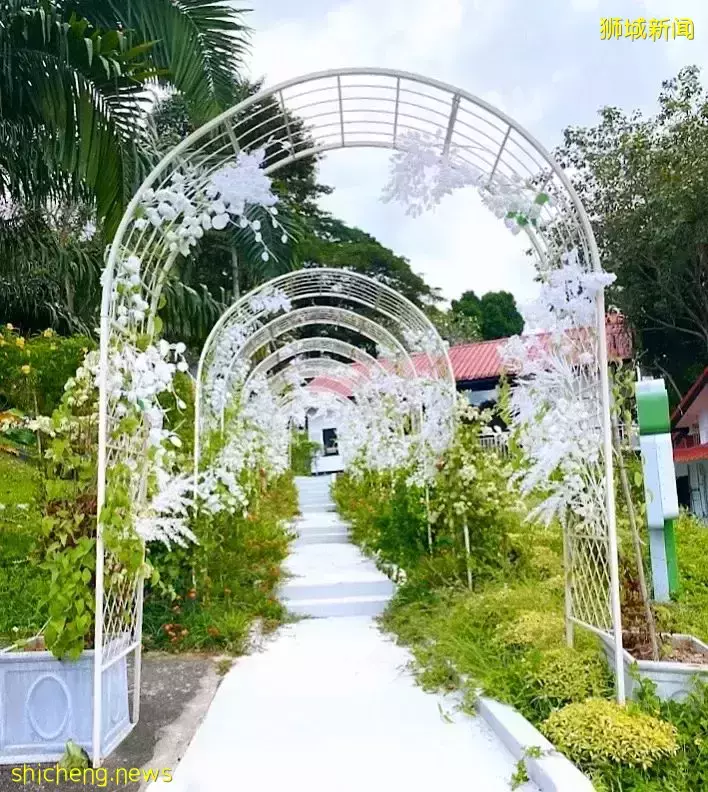 2022第一波新咖啡馆打卡指南来了