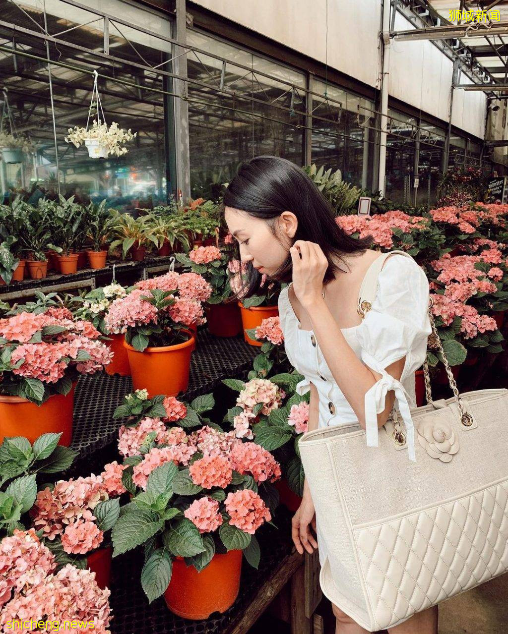 化身花仙子🧚‍♀新加坡9大花海打卡地🌷 天天鮮花盛放、美如仙境，出片率百分百