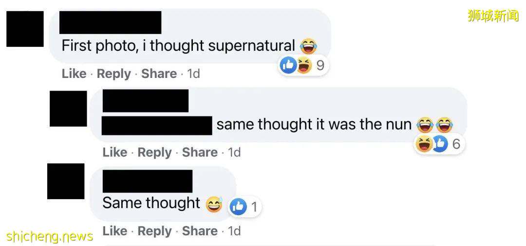 新加坡驚現人臉貓頭鷹！這些恐怖小動物，你碰到過嗎