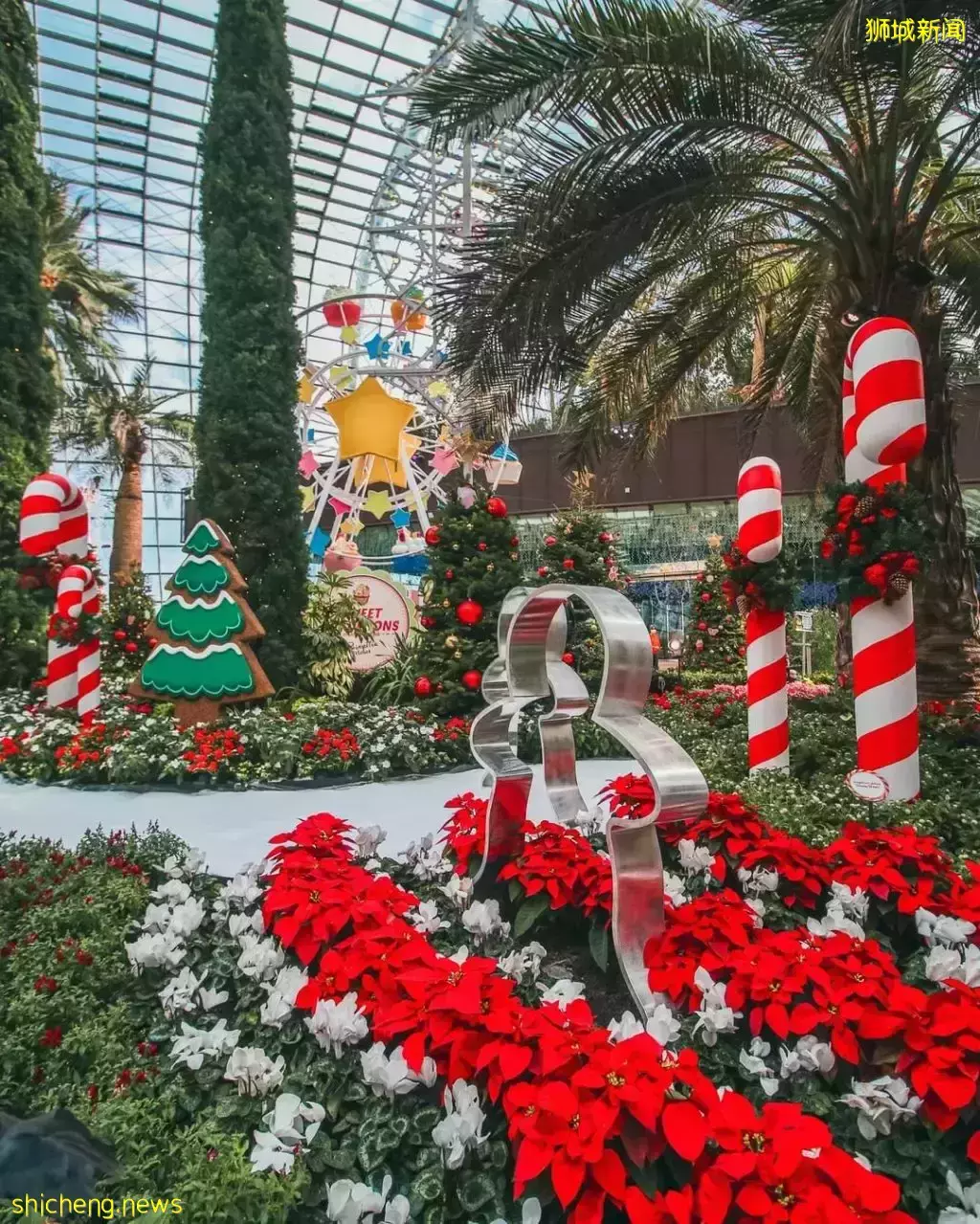 2021新加坡圣诞打卡攻略出炉🎄高颜值圣诞树、梦幻氛围爆表,错过再等一年咯✨