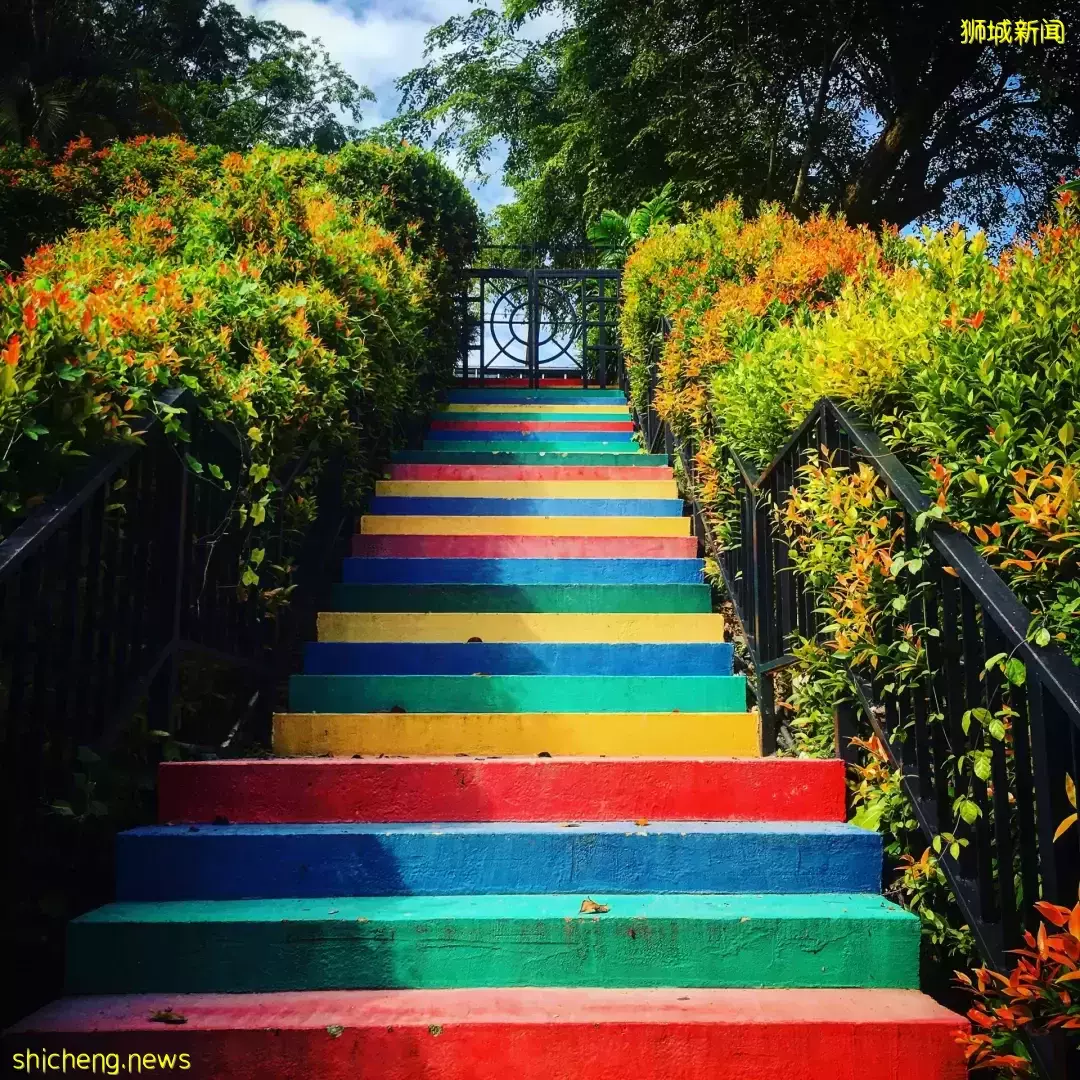 新加坡南部要建新公园,占地200公顷!这些地方太美了打卡必去