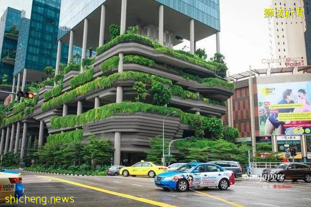 好的留学国家 新加坡