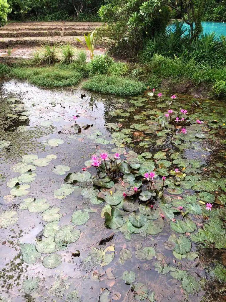 这位新加坡自闭症男孩,一动手就感动了全世界,预测这会刷爆朋友圈