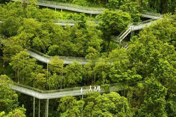 月薪3000新幣 VS 10000人民幣，再見！新加坡！還是離不開