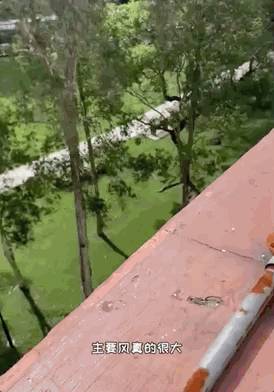 新加坡也有比萨斜塔?!小众打卡地推荐来了