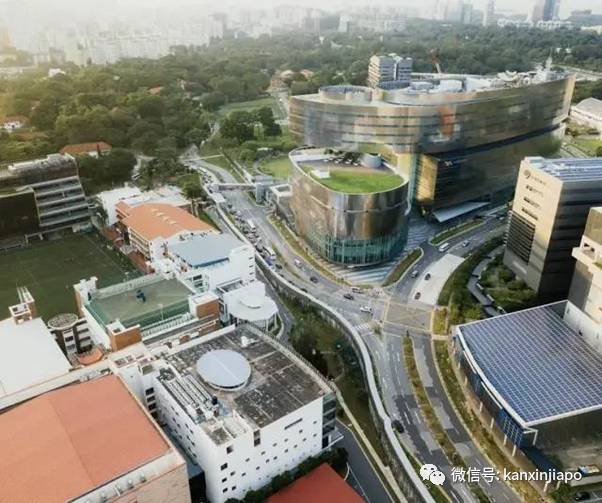 协助两中国公司得标，坡岛兄妹收232万新币贿赂，泄露机密