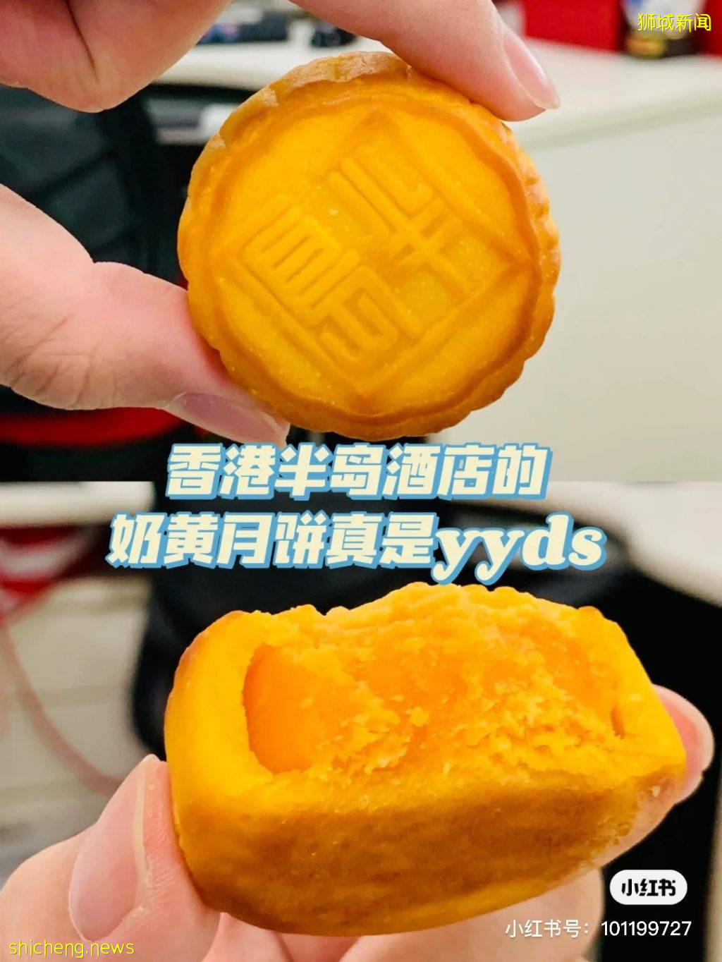 新加坡特色月餅不踩雷清單！美心、半島、桃苑、星巴克、Royal Durian等等超詳細攻略奉上 .
