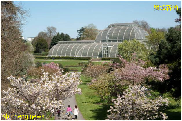 新加坡植物園（上）