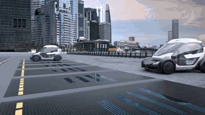 新加坡一辆车飞入灌木丛?网友：动作片看多了