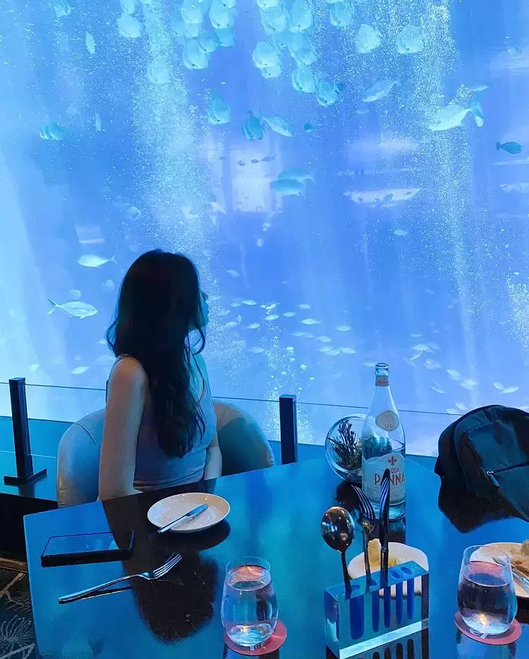 1月份吃喝玩乐攻略🎊 领取免费口罩、西餐半价折扣、点心只需S$2、春节限定美食