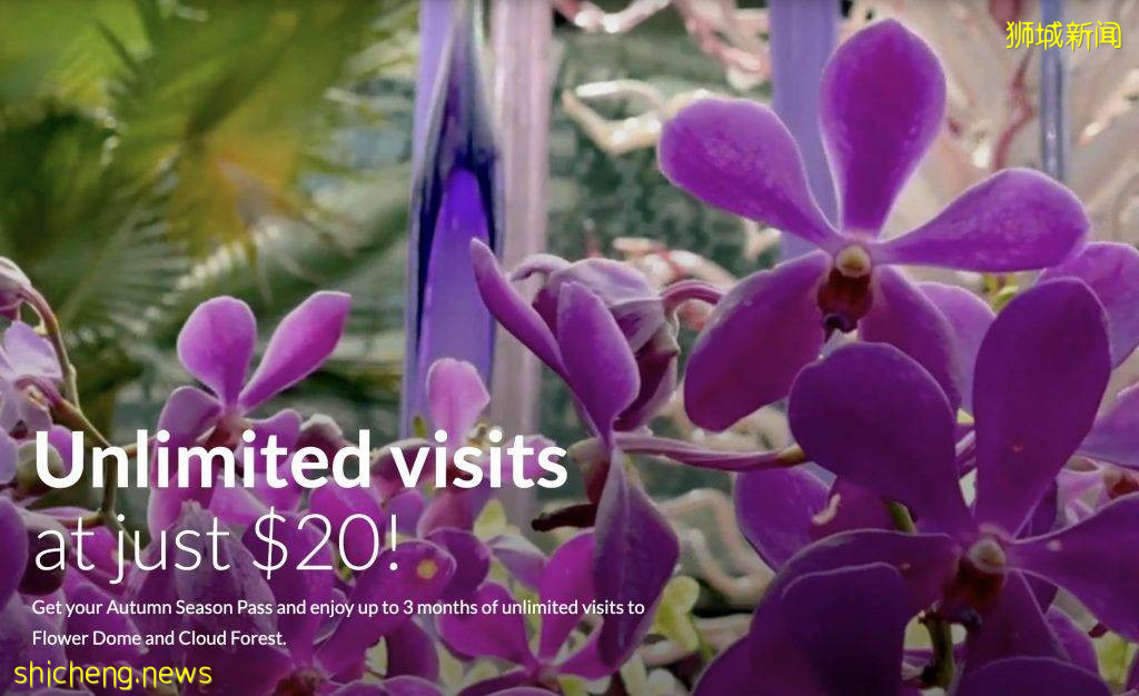 滨海湾花园季票只要S$20!无限次进入Flower Dome、Cloud Forest!限时售卖至9月12日