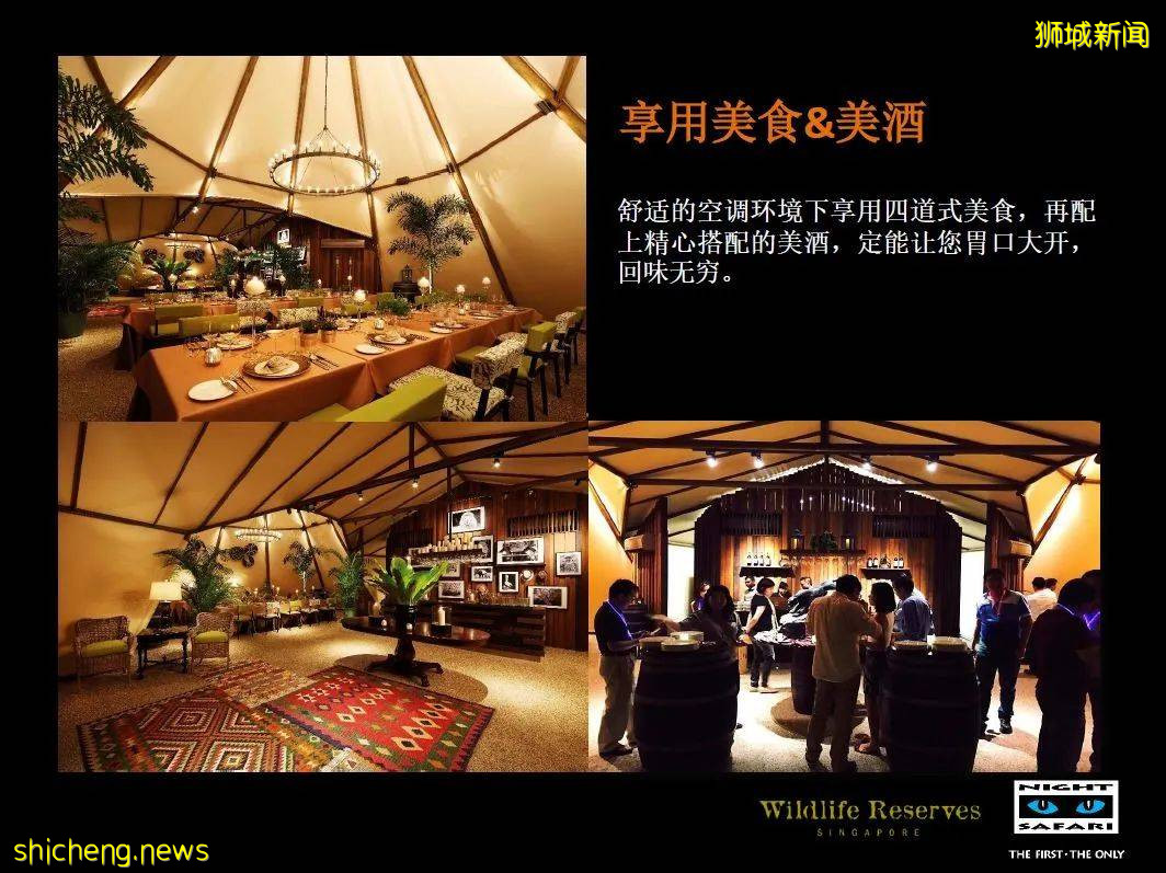 新加坡 中秋節野生動物之夜!酷炫探險~帳篷晚餐~賞月之旅