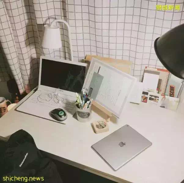 中新国际学校大对比,新加坡留学为什么那么热门