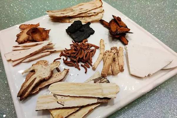 聖誕節該去哪?好吃的,好玩的統統安排