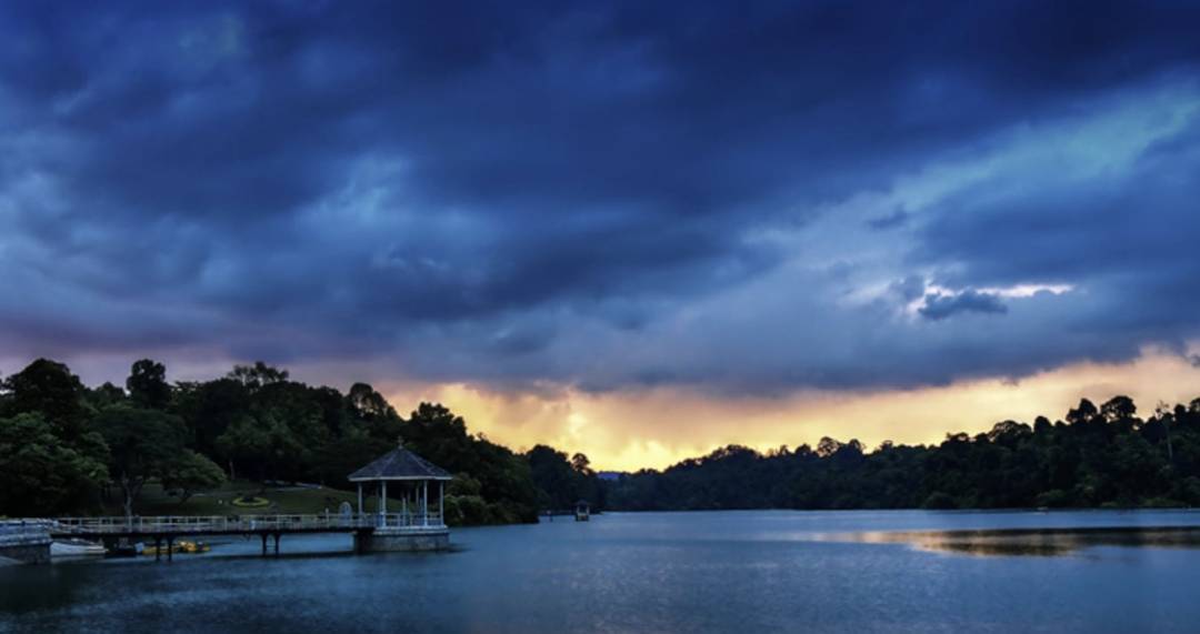 新加坡最美10个蓄水池公园,人少、闺蜜野餐遛娃拍照