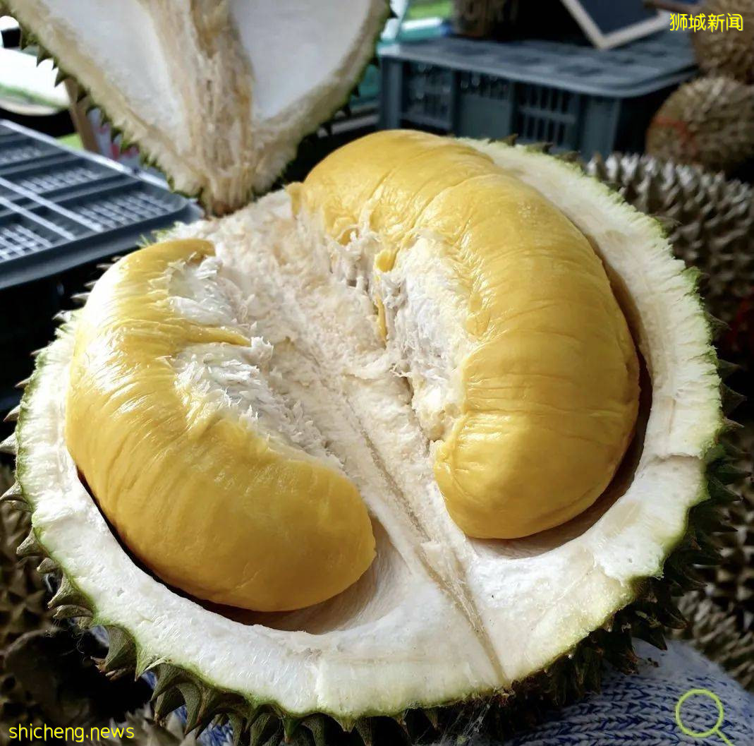 吐血整理！新加坡這20家榴梿太香了！S$11起