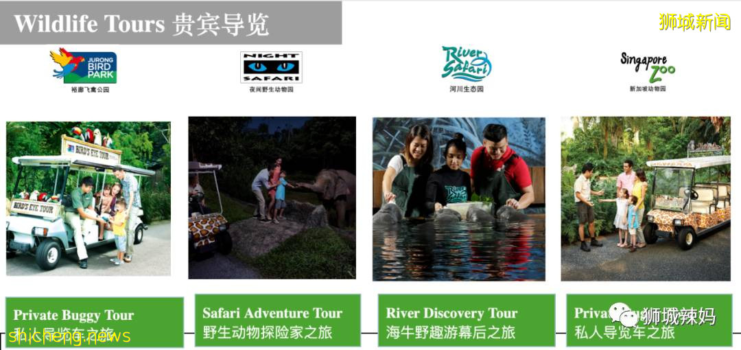 僅2天！新加坡動物園最牛的餵動物之旅，8折！還有幻光雨林和4大園5.5折起，搶啦