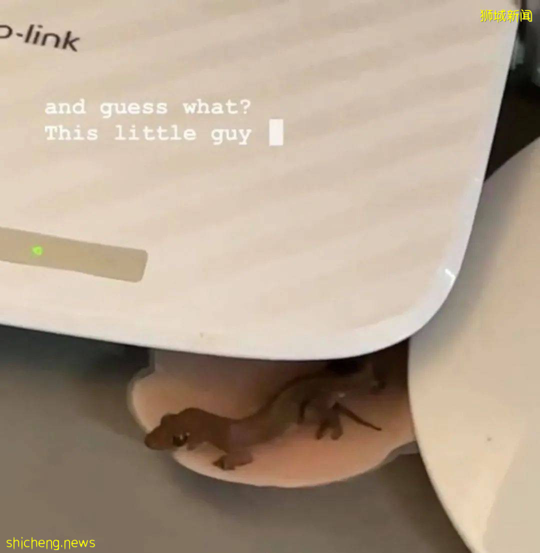 NTU 一女生发现胸贴意外丢失,究竟是谁在作祟