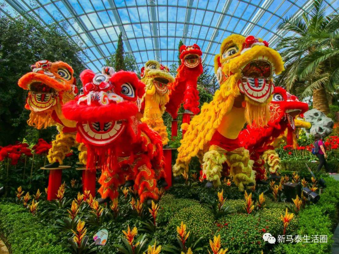 新加坡華語和中國普通話有什麽不一樣