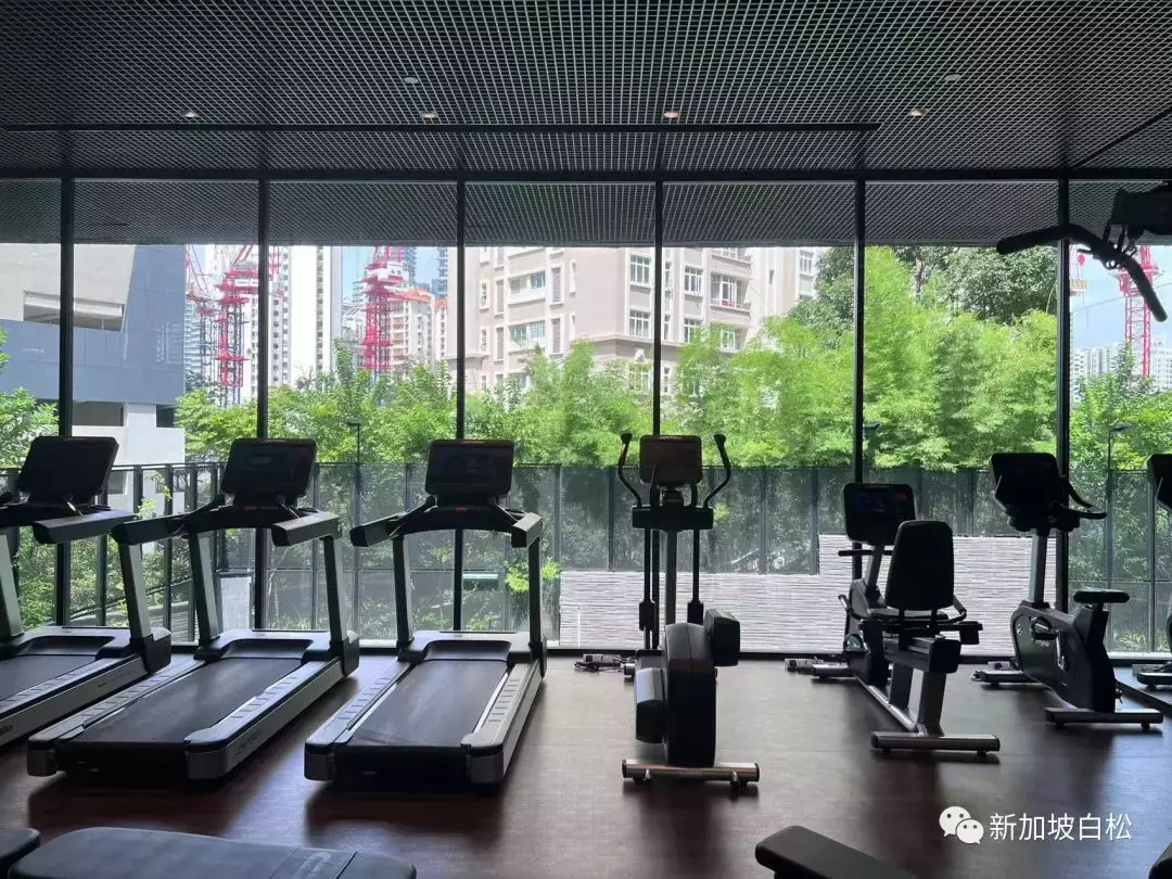 新加坡烏節設計師公寓Martin Modern