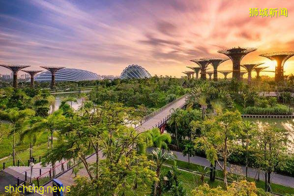 新加坡为何被称为罚款之城