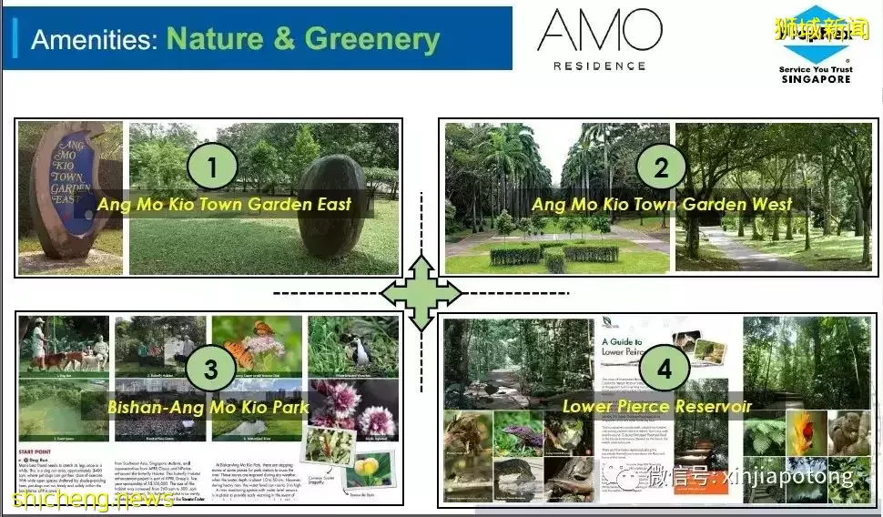 AMO Residence 宏茂橋8年以來第1個新公寓項目，雙名校學區房 地鐵 公園