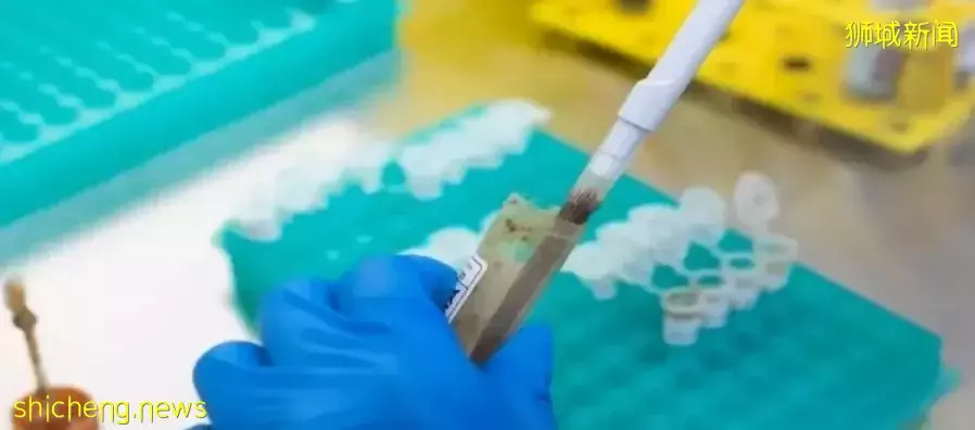 狮城设肠道菌群冷冻库　从粪便萃取肠道菌群治病