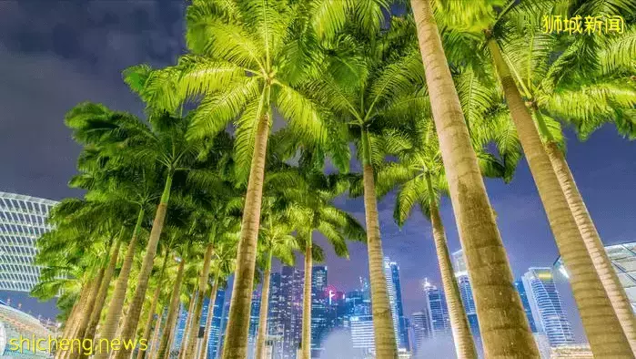 就連自殺都違法，新加坡究竟是一個怎樣的國家