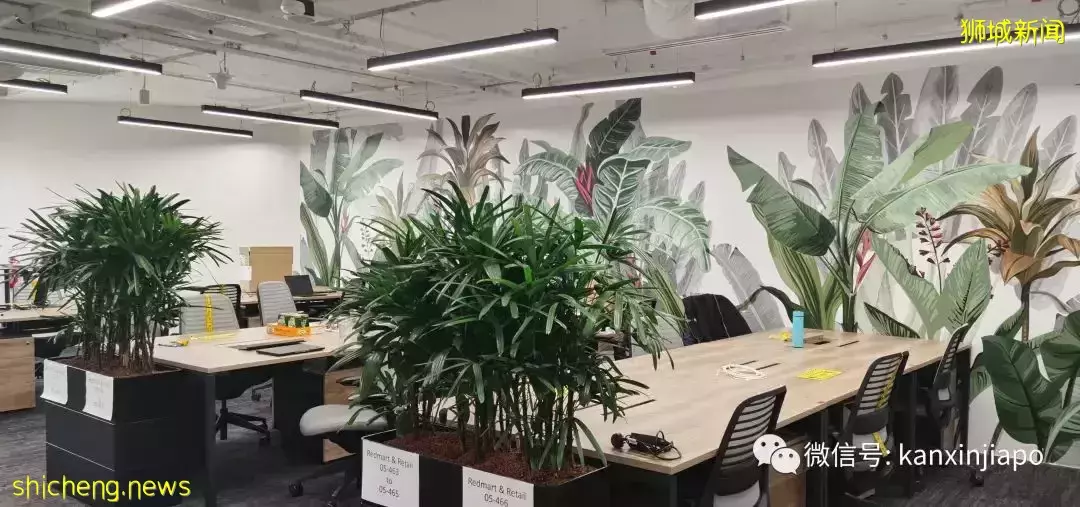 一睹为快!“东南亚淘宝”Lazada的新总部大楼内部长这样