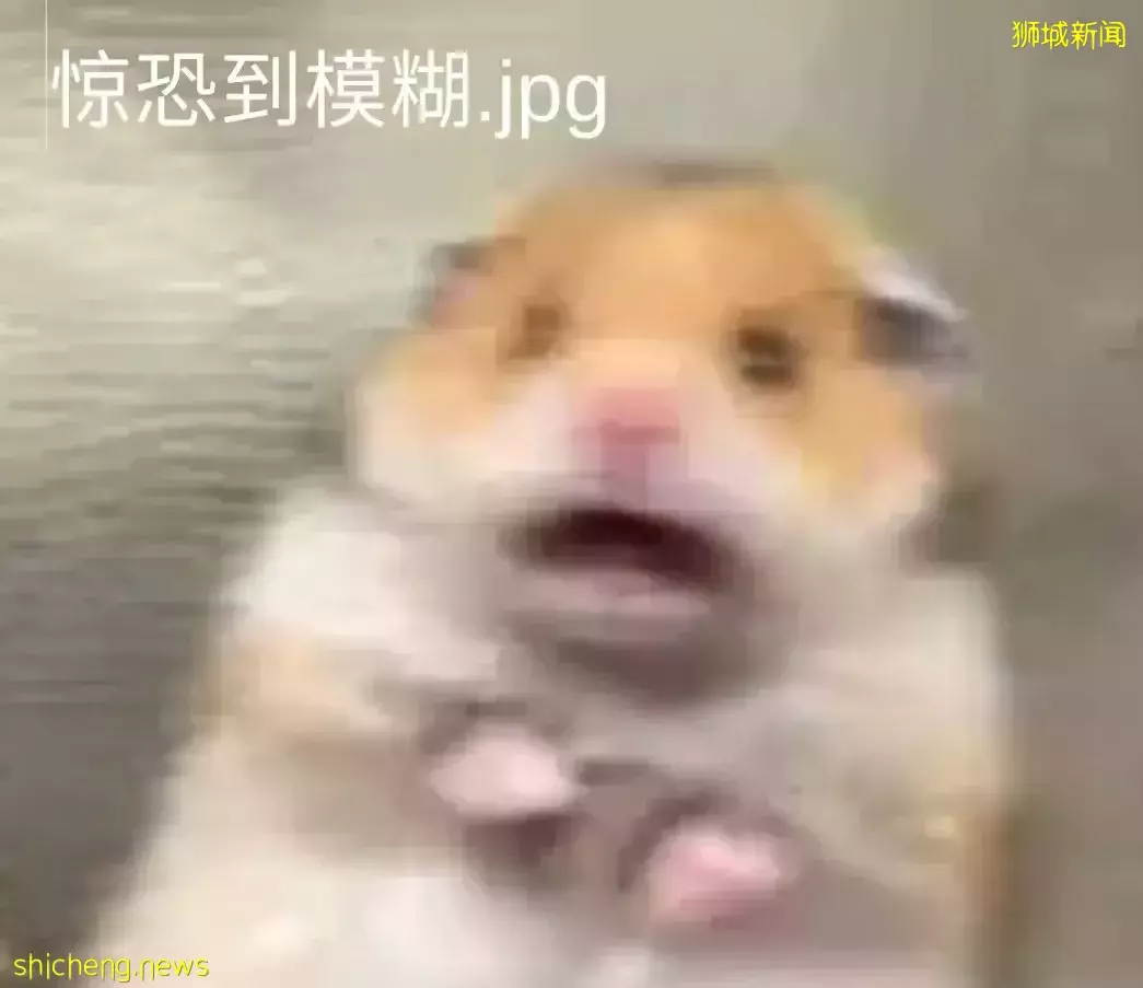 破纪录！新加坡组屋连涨22个月！四房卖出$123万新币